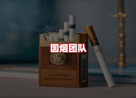 国烟团队